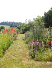 Indlæs billede til gallerivisning Sommerens vidunderlige øjeblikke - 5 udgave 2023 - Jean d'arc Living