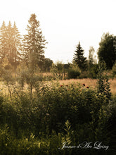 Indlæs billede til gallerivisning Den dejligste SENSOMMER - 6 udgave 2024 - Jean d'arc Living