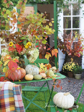 Indlæs billede til gallerivisning Den dejligste SENSOMMER - 6 udgave 2024 - Jean d'arc Living