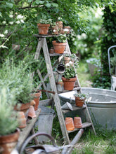 Indlæs billede til gallerivisning Den dejligste SENSOMMER - 6 udgave 2024 - Jean d'arc Living