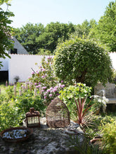 Indlæs billede til gallerivisning Inspiration til et kreativt forår - 3 udgave 2024 - Jean d' arc Living