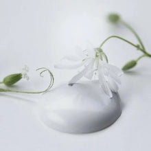 Indlæs billede til gallerivisning NATRUAL WHITE - Vintage Paint