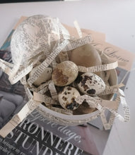 Indlæs billede til gallerivisning Vagtleæg