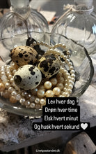 Indlæs billede til gallerivisning Vagtleæg