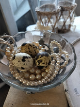 Indlæs billede til gallerivisning Vagtleæg