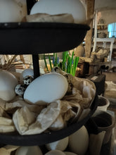 Indlæs billede til gallerivisning Vagtleæg