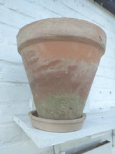 Indlæs billede til gallerivisning Potte fra RetrOlé - H: 20 cm