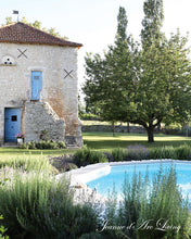 Indlæs billede til gallerivisning Drømme HJEM - 3 udgave 2025 - Jean d' arc Living