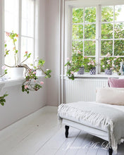 Indlæs billede til gallerivisning Drømme HJEM - 3 udgave 2025 - Jean d' arc Living