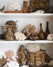 Indlæs billede til gallerivisning Drømme HJEM - 3 udgave 2025 - Jean d' arc Living