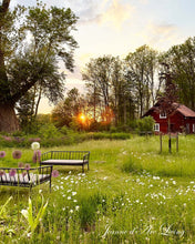 Indlæs billede til gallerivisning Sanselig SOMMER - 5 udgave 2025 - Jean d' Arc Living