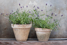 Indlæs billede til gallerivisning Potte fra RetrOlé m/ riller - H: 10.5 cm