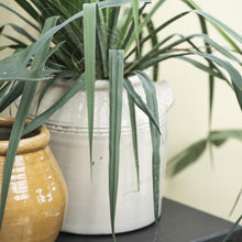 Indlæs billede til gallerivisning Skjuler m/ører åbning - Campagnard