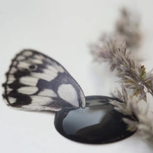 Indlæs billede til gallerivisning BLACK VELVET - Vintage Paint