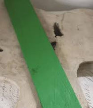 Indlæs billede til gallerivisning BRIGHT GREEN - Vintage Paint