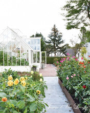 Indlæs billede til gallerivisning Sensommer - FORTÆLLINGER - 6 udgave 2025 - Jean d' Arc Living