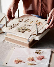 Indlæs billede til gallerivisning Bring naturen INDENFOR - 7 udgave 2025 - Jean d' Arc Living