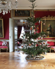 Indlæs billede til gallerivisning Jule særudgave 2025 - Et drys af JULEMAGI.