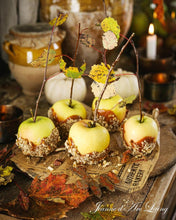 Indlæs billede til gallerivisning Bring naturen INDENFOR - 7 udgave 2025 - Jean d' Arc Living