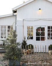 Indlæs billede til gallerivisning Jule særudgave 2025 - Et drys af JULEMAGI.