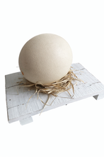 Indlæs billede til gallerivisning Strudseæg - enkelt og naturligt