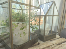 Indlæs billede til gallerivisning Væksthus - Højde 38 cm