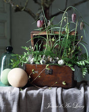 Indlæs billede til gallerivisning Forårets festligheder - 2 udgave 2025 - Jean d' Arc Living