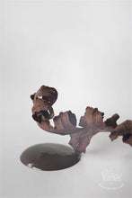Indlæs billede til gallerivisning CHOCOLATE BROWN - Vintage Paint