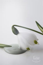 Indlæs billede til gallerivisning DUSTY GREEN - Vintage Paint