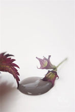 Indlæs billede til gallerivisning Vintage Paint - Dark Powder