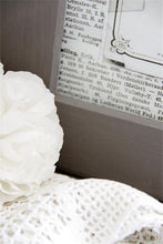 Indlæs billede til gallerivisning Vintage Paint - Dark Powder