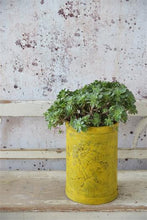 Indlæs billede til gallerivisning WARM YELLOW - Vintage Paint