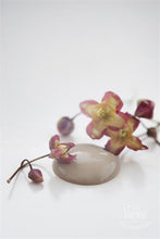 Indlæs billede til gallerivisning Vintage Paint - Antique Sand