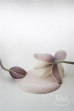 Indlæs billede til gallerivisning ANTIQUE ROSE - Vintage Paint