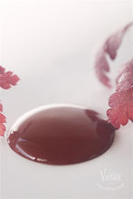 Indlæs billede til gallerivisning RUSTY RED - Vintage Paint