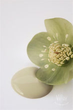 Indlæs billede til gallerivisning ANTIQUE GREEN - Vintage Paint