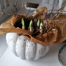 Indlæs billede til gallerivisning Fedtpapir / Vokspapir - Brunt