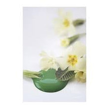 Indlæs billede til gallerivisning BRIGHT GREEN - Vintage Paint
