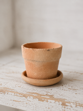 Indlæs billede til gallerivisning Mini terrakotta potte m/ underskål.
