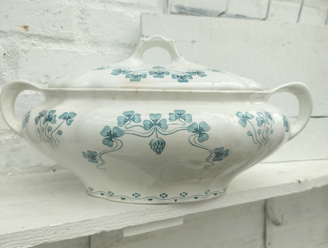 Gammel terrin med låg og lyseblå blomster.