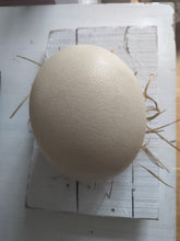 Indlæs billede til gallerivisning Strudseæg - enkelt og naturligt
