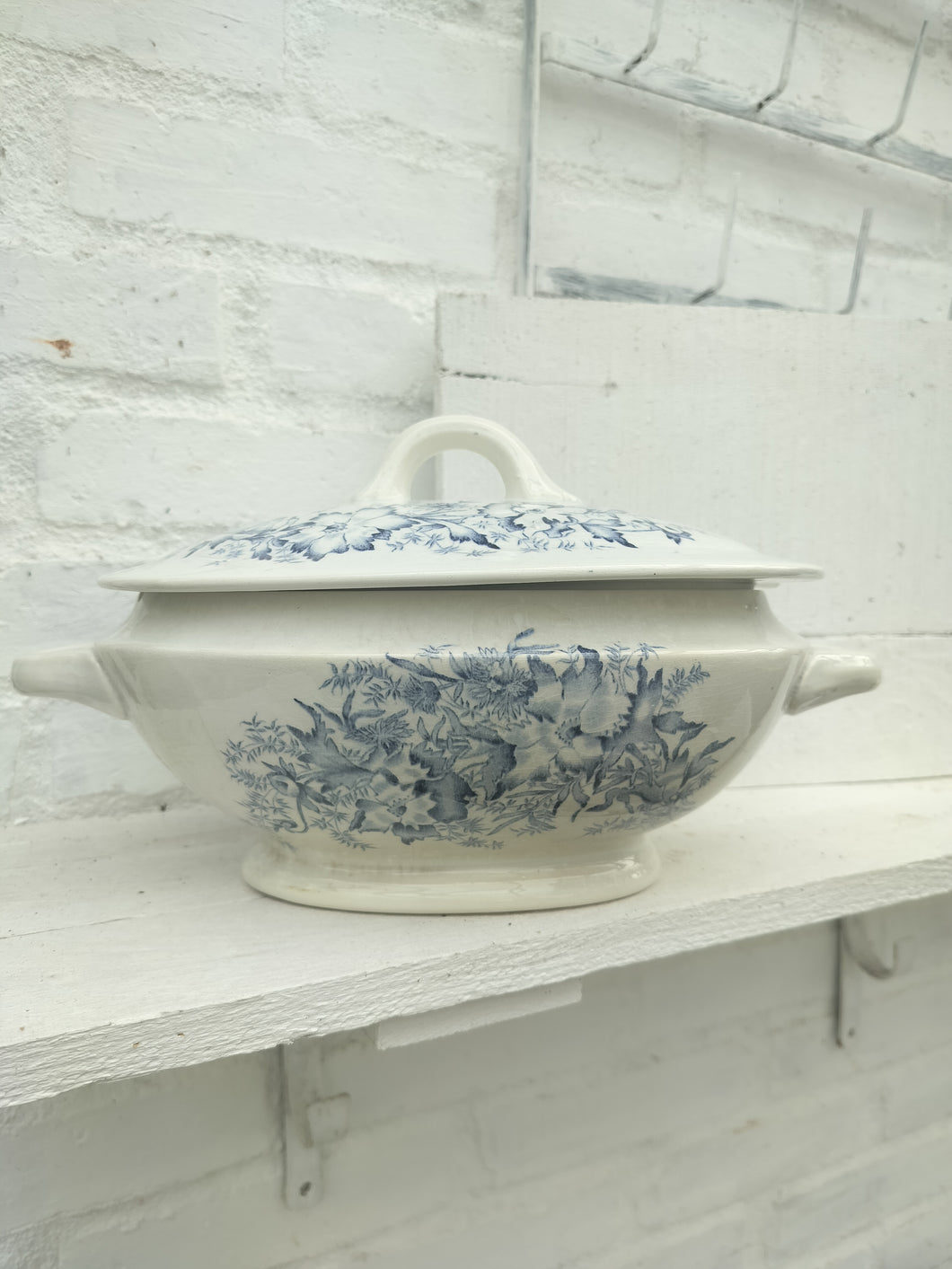 Gammel terrin - låg og blå blomster