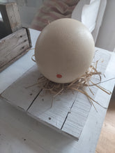 Indlæs billede til gallerivisning Strudseæg - enkelt og naturligt
