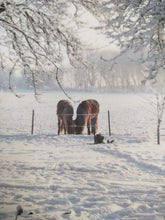 Indlæs billede til gallerivisning Nu er det endelig JUL igen - 8 udgave 2011 - Jeanne d'Arc Living
