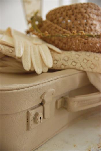 Vintage Paint - Antique Sand
